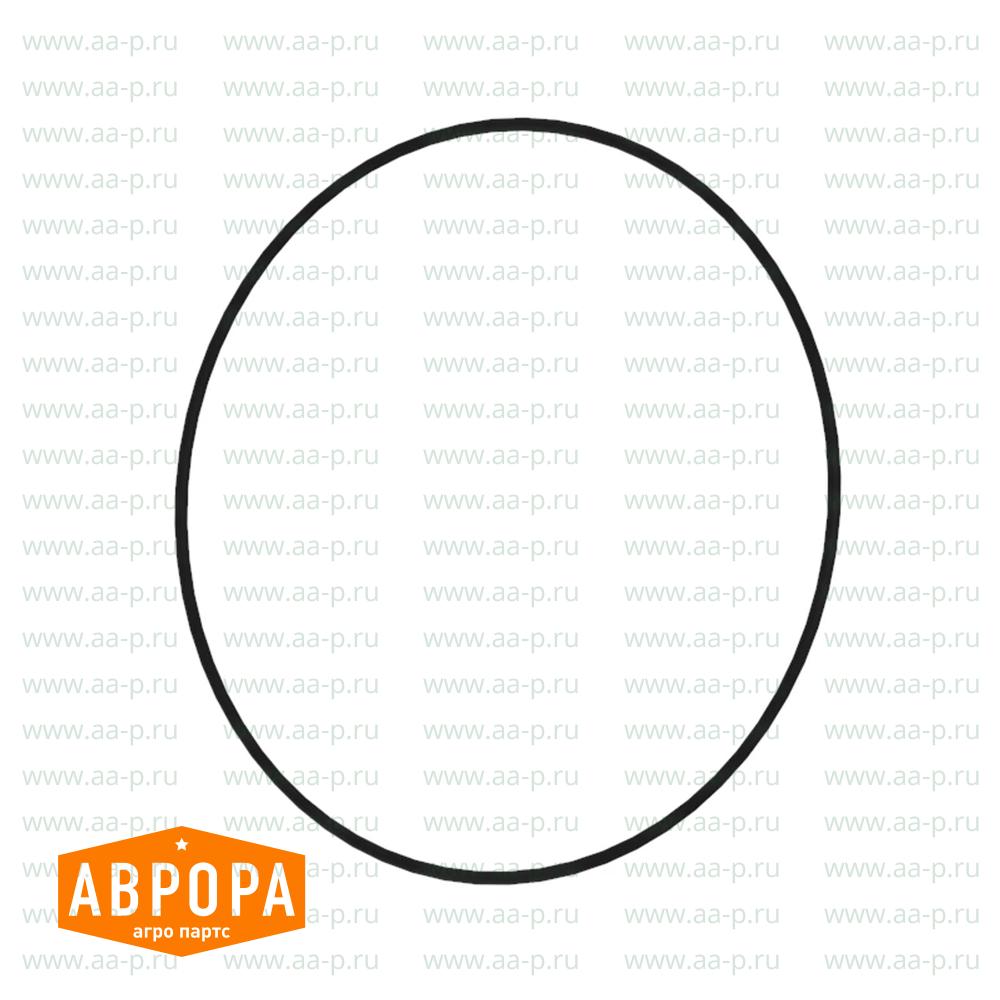 N316797 УПЛОТНИТЕЛЬНОЕ  КОЛЬЦО